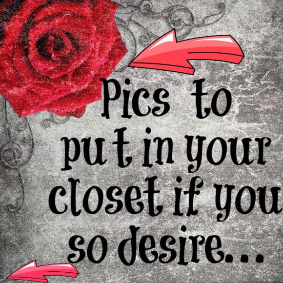 THIS BUS IS FULL!! PLEASE FIND NEW LISTING! XO - Picture 8 of 13